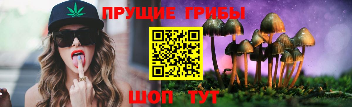 Галлюциногенные грибы Psilocybine cubensis  Вход с VPN  Кандалакша 
